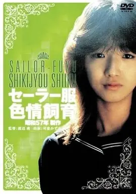 龙猫 动画电影 1988 宫崎骏